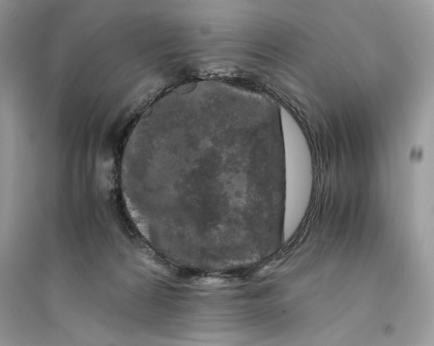 X0000094430224200711291540