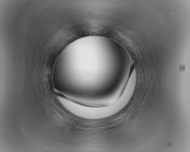 X0000094430225200711291540