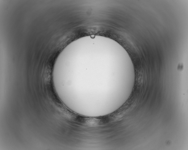 X0000094430226200711291540