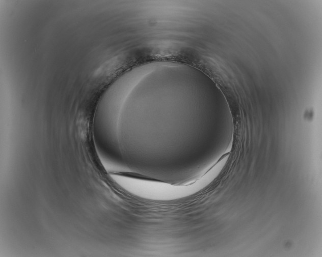 X0000094430227200711291540