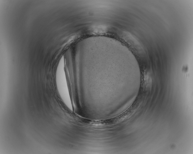 X0000094430228200711291540