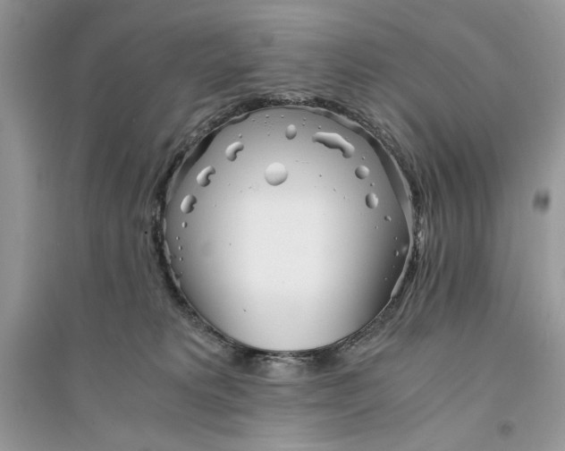 X0000094430229200711291540