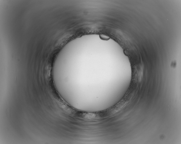 X0000094430230200711291540