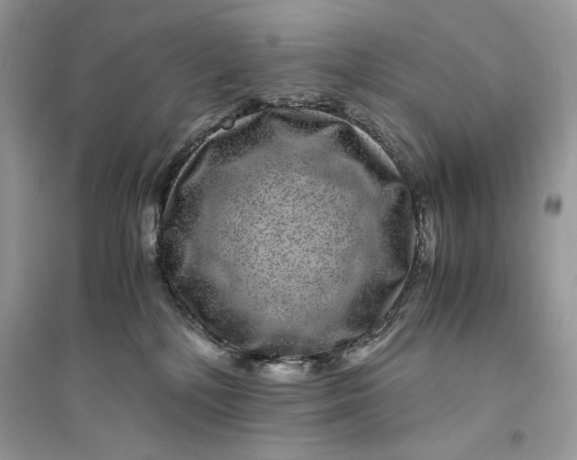 X0000094430232200711291540