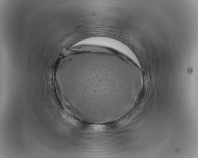 X0000094430233200711291540