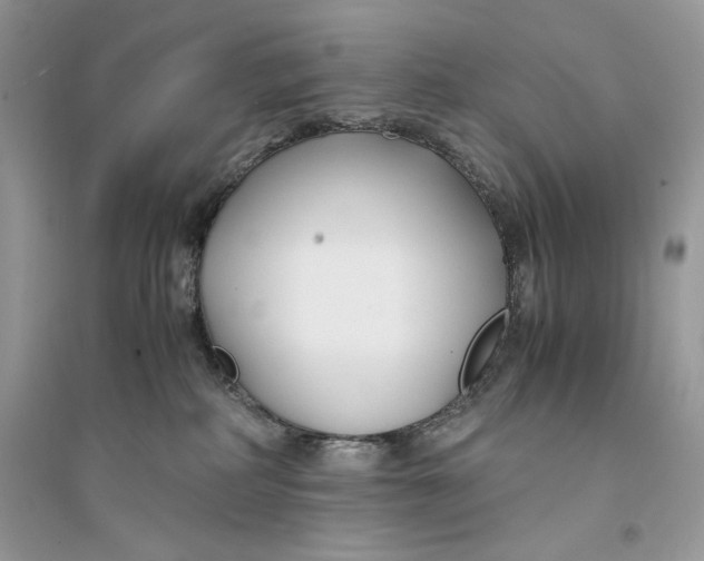 X0000094430234200711291540