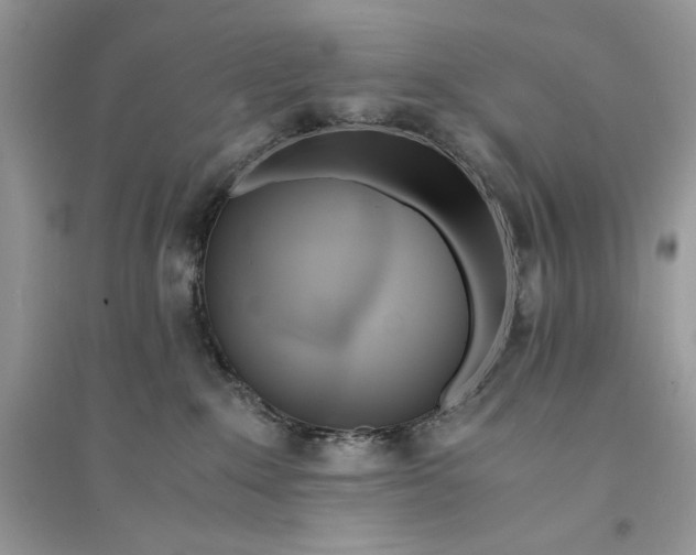 X0000094430235200711291540