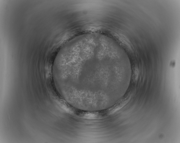 X0000094430236200711291540