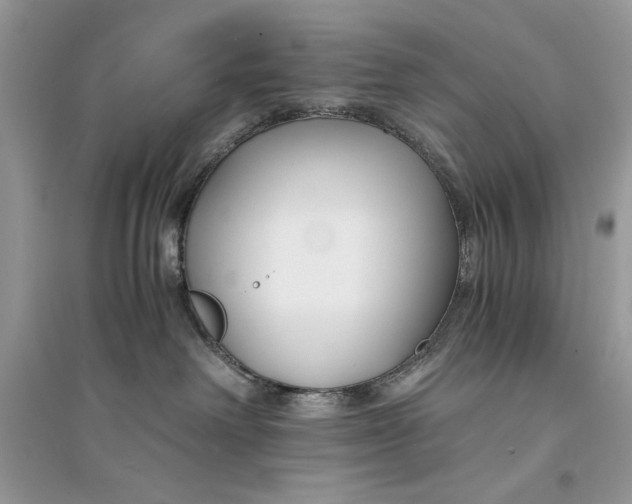 X0000094430238200711291540