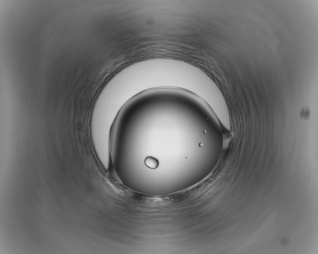 X0000094430239200711291540