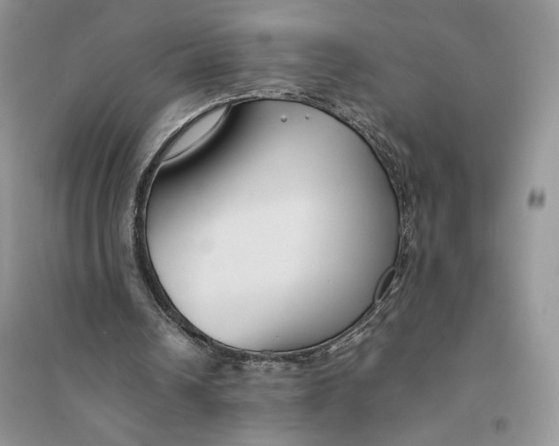 X0000094430242200711291539