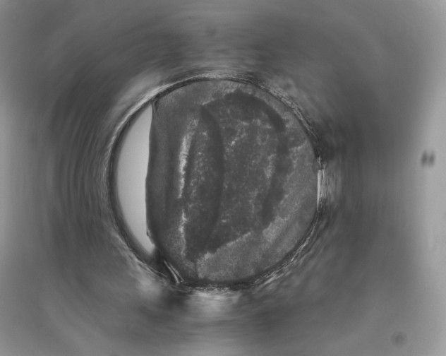 X0000094430243200711291539