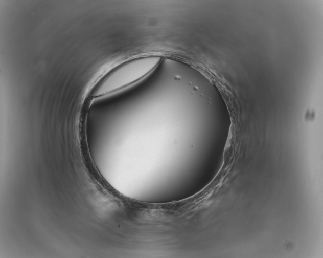 X0000094430244200711291539