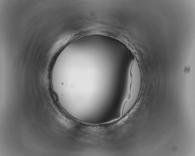 X0000094430245200711291539