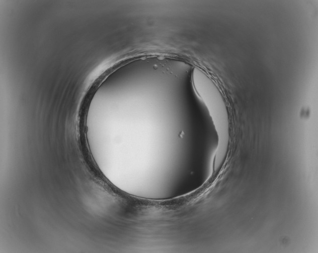 X0000094430246200711291539