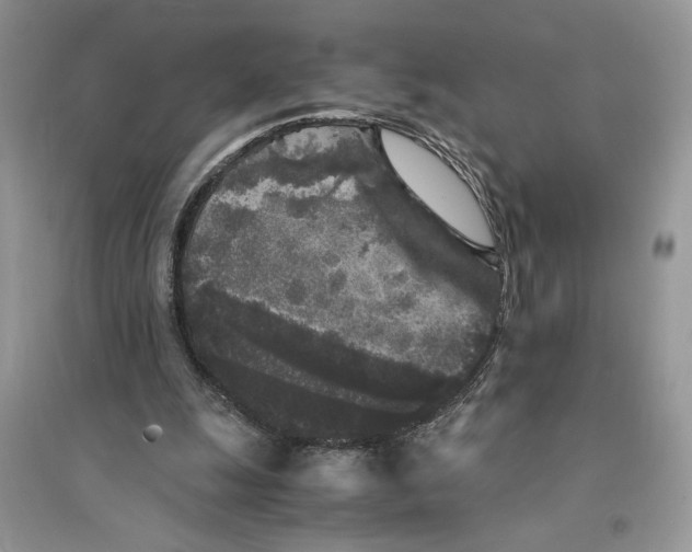 X0000094430247200711291539