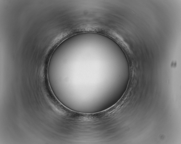 X0000094430250200711291539