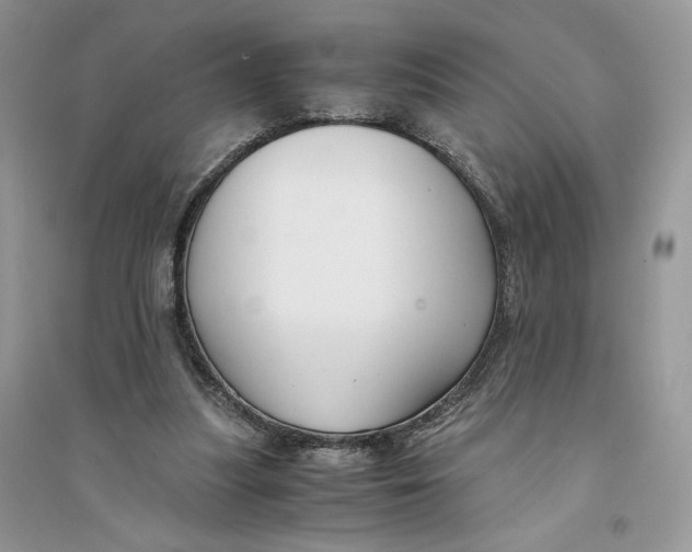 X0000094430251200711291539