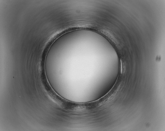 X0000094430252200711291539