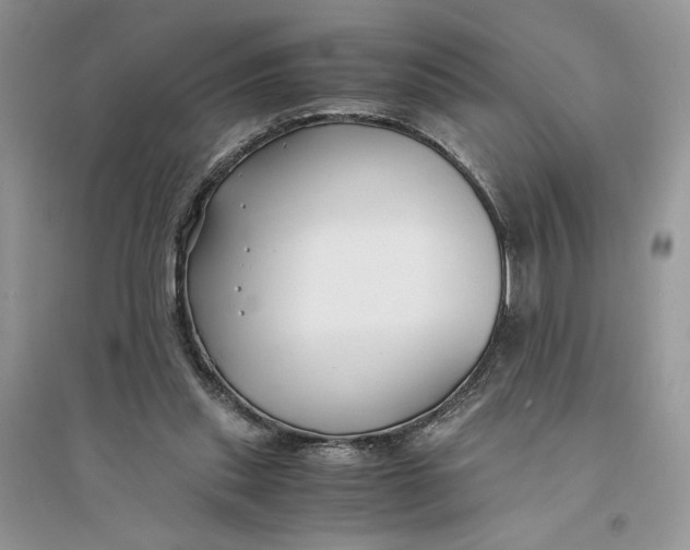 X0000094430253200711291539