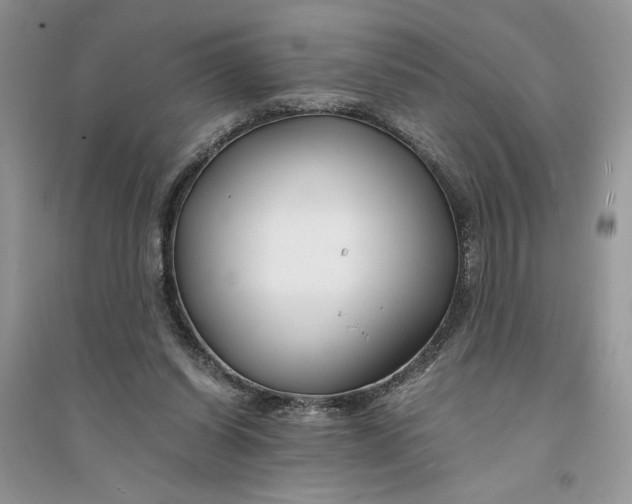 X0000094430254200711291539