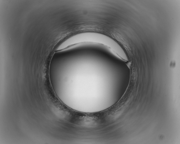 X0000094430255200711291539