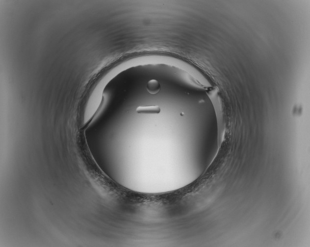 X0000094430256200711291539