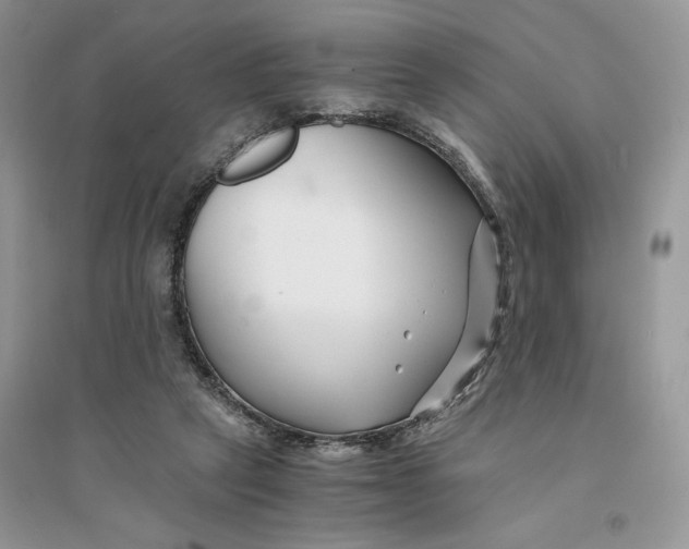 X0000094430257200711291539