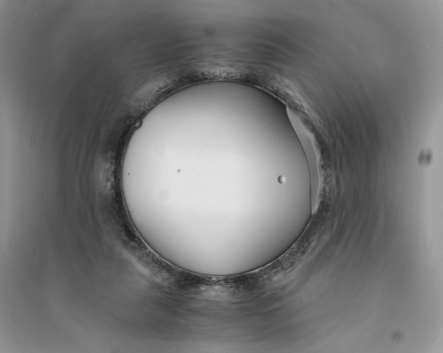 X0000094430259200711291539