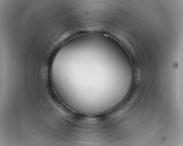 X0000094430260200711291539