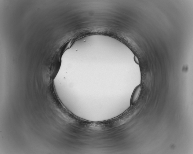 X0000094430261200711291539