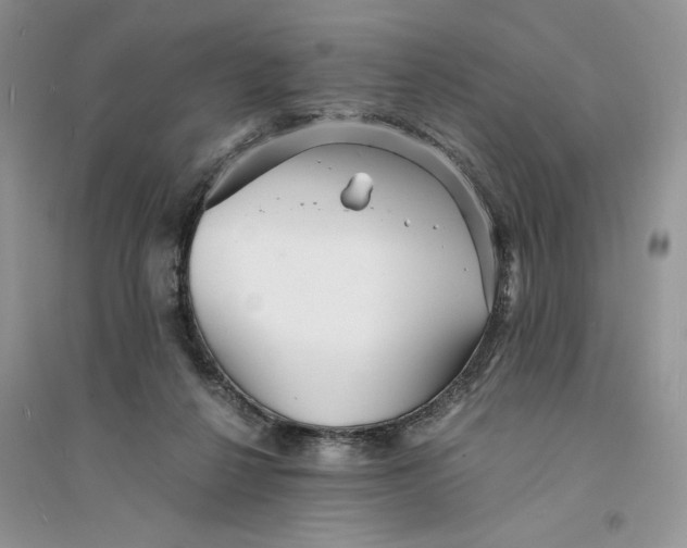 X0000094430264200711291539