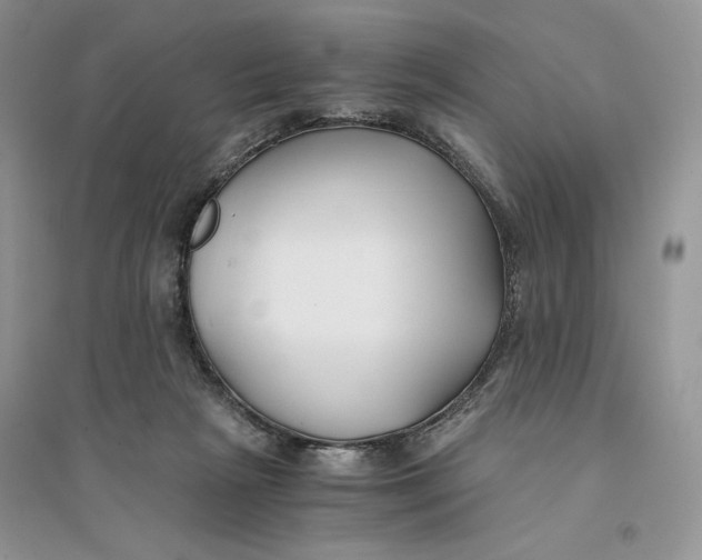 X0000094430265200711291539