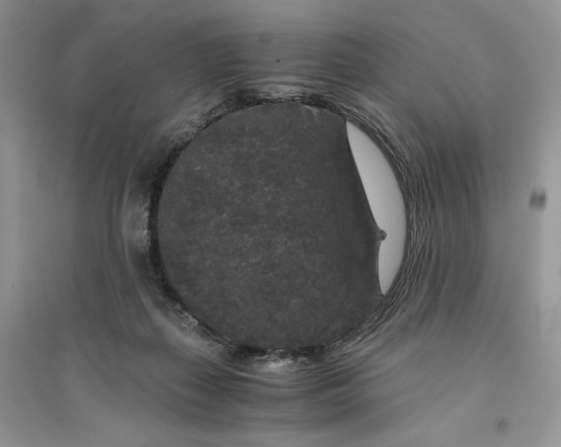 X0000094430267200711291539