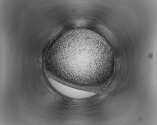 X0000094430269200711291539