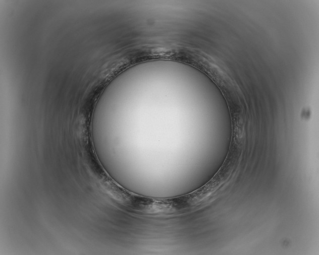 X0000094430270200711291539