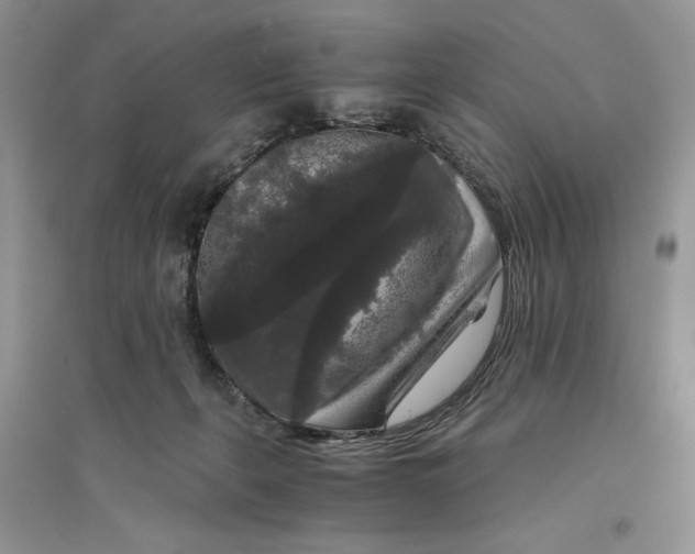 X0000094430271200711291539