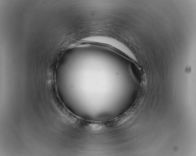 X0000094430272200711291539