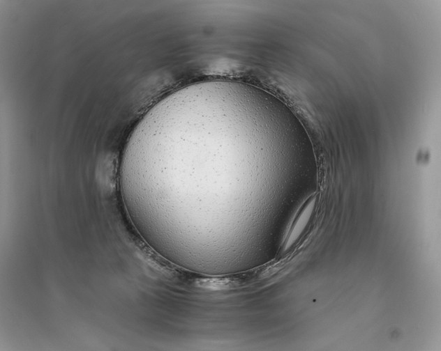 X0000094430273200711291539