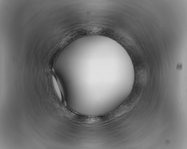 X0000094430274200711291539