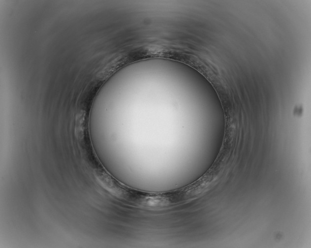 X0000094430275200711291539