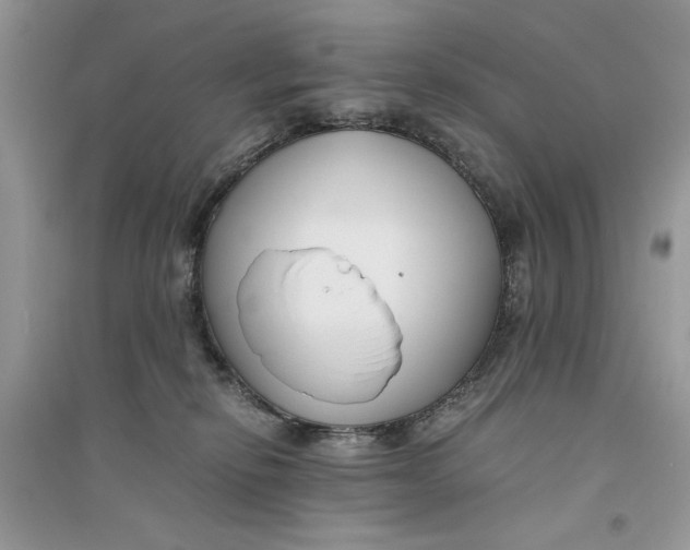 X0000094430278200711291540