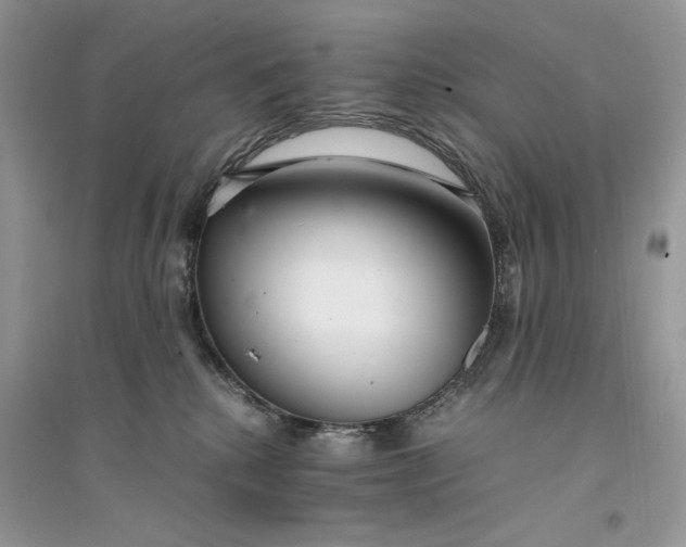 X0000094430280200711291540