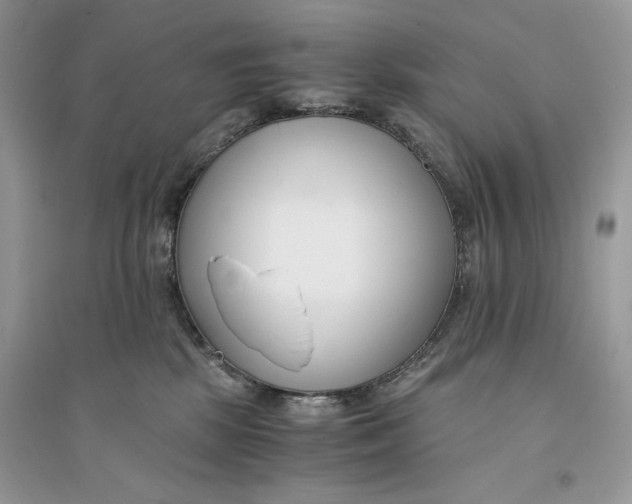 X0000094430281200711291540