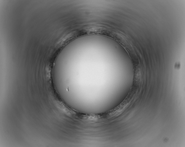 X0000094430282200711291540