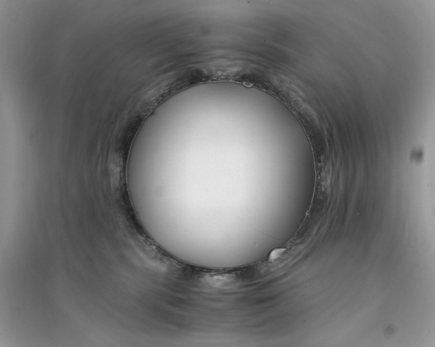 X0000094430283200711291540