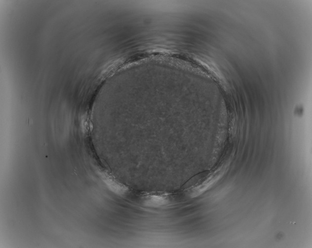 X0000094430285200711291540