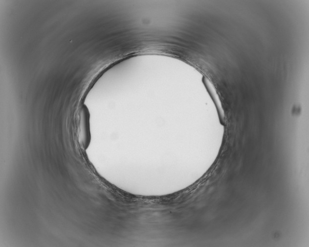 X0000094430289200711291539