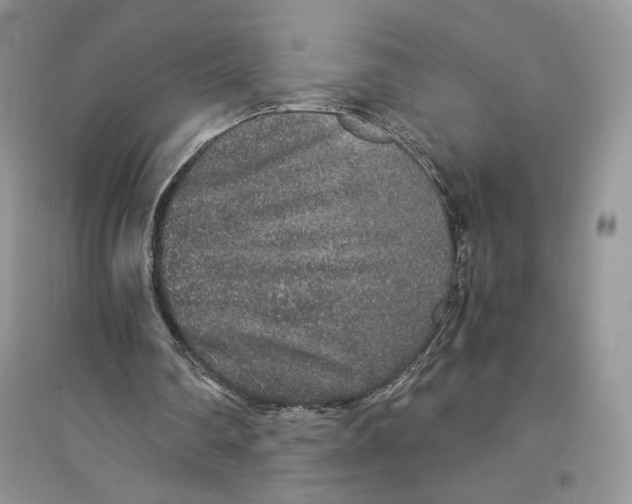 X0000094430290200711291539