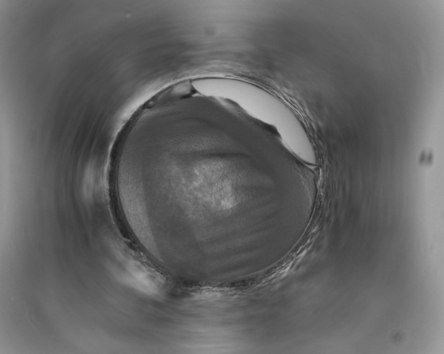 X0000094430292200711291539